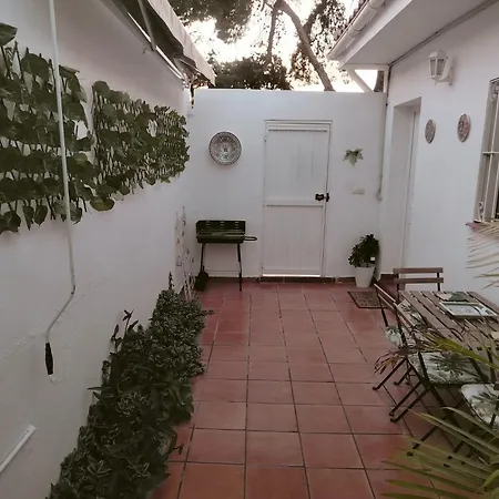 Apartmán Fantastico Con Piscina Comunitaria Junto Al Mar En *